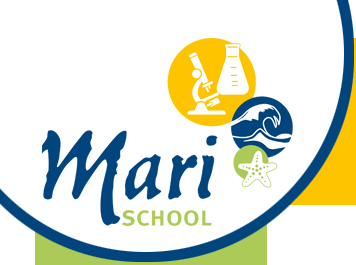 logo marischool